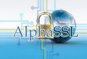 【簡単4Step!】アルファSSLでセキュリティ強化!【ConoHa WING】