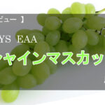 【レビュー】レイズ EAA シャインマスカット風味【EAA】