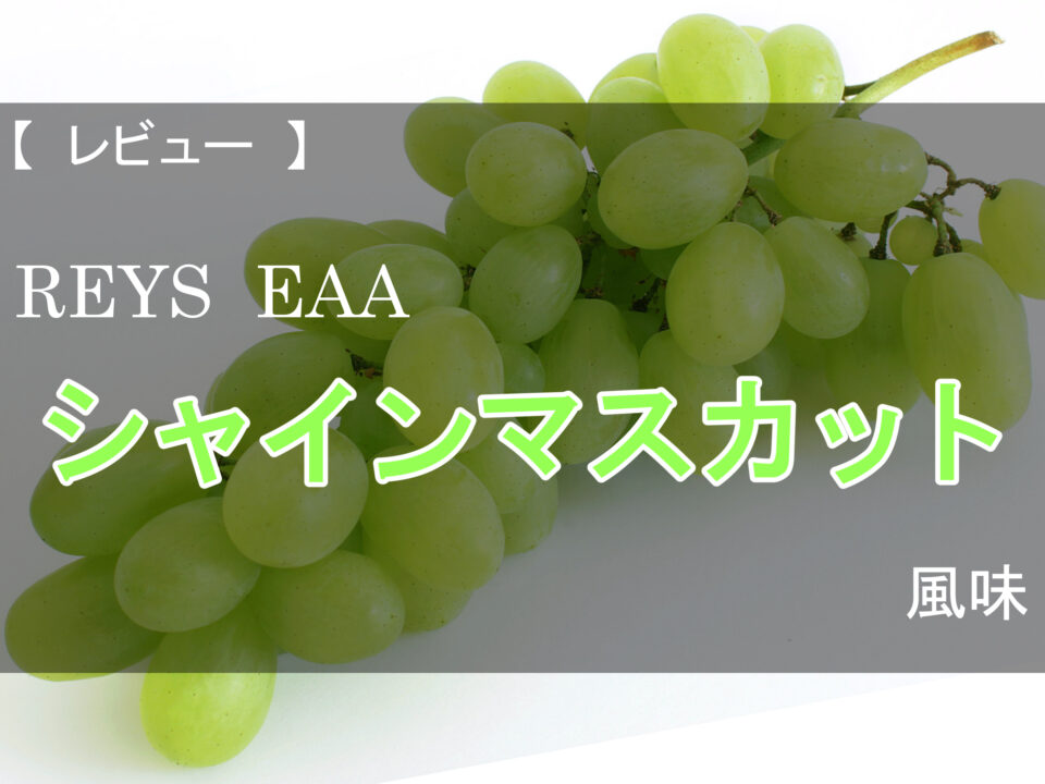 【レビュー】レイズ EAA シャインマスカット風味【EAA】